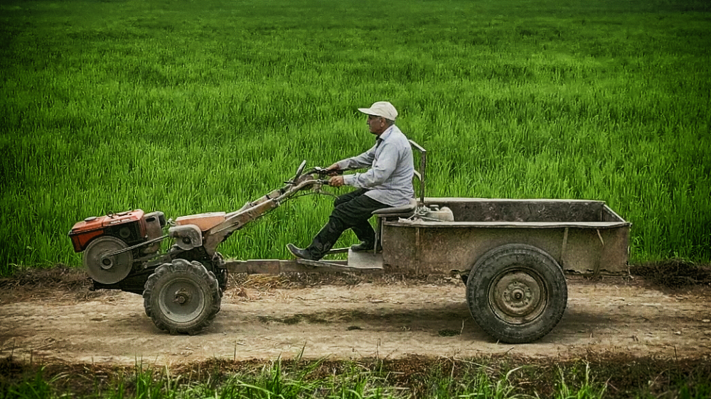 video-section-banner-image