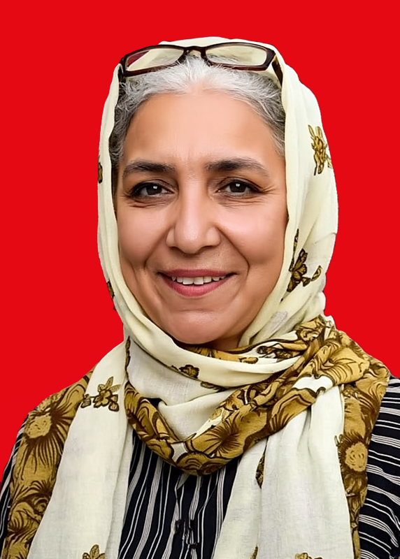 مهری‌سادات آل آقا